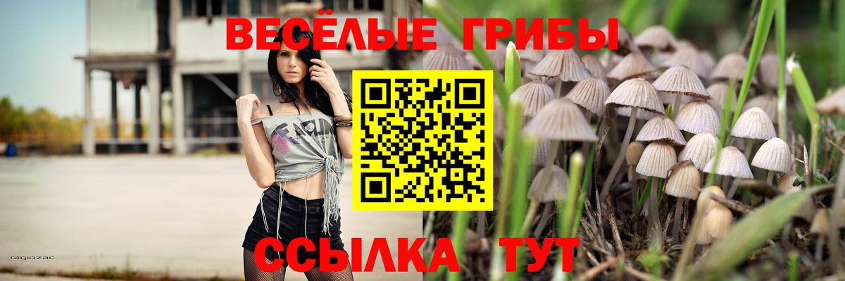 Галлюциногенные грибы Cubensis  Вход с VPN  Галлюциногенные грибы ЛСД  Сунжа 